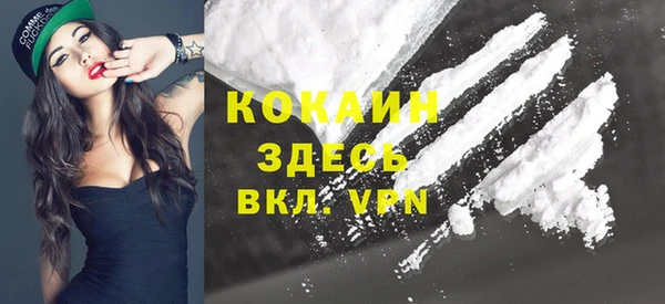 прущие грибы Осинники