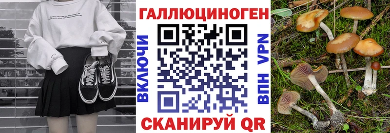 где найти Славянск-на-Кубани Псилоцибиновые грибы Cubensis